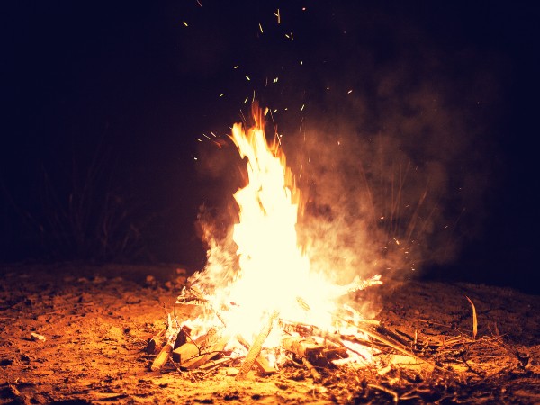 A campfire burning wood