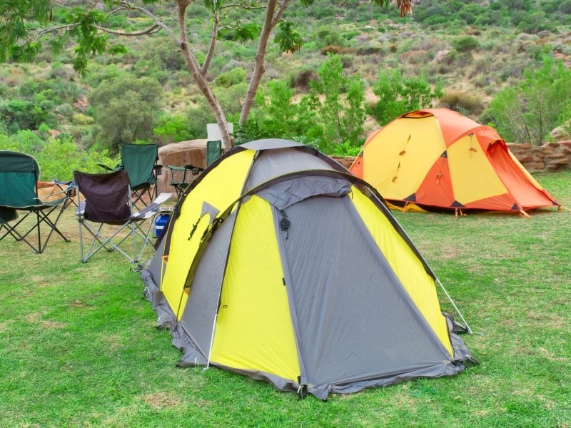 A yellow and grey tent in the middle of a yard