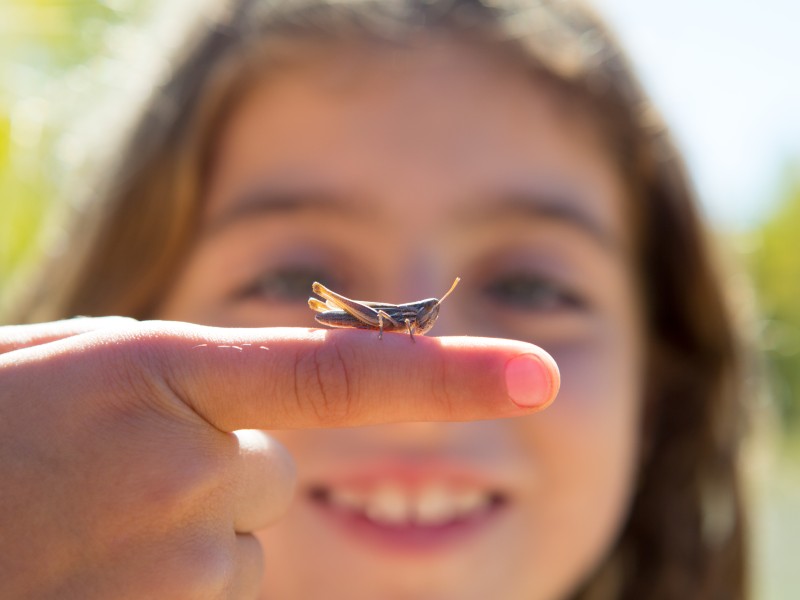 A girl looking at a grasshopper on her finger