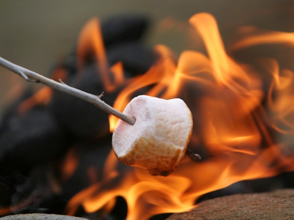 A marshmallow being cooked over an open fire