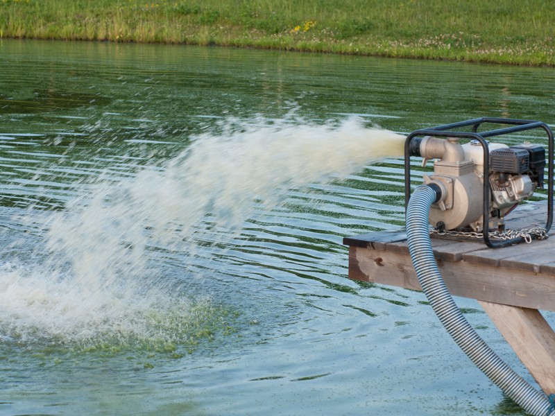 Water pump being used by a lake