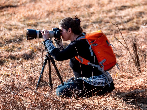 A woman using a camera while camping in the wilderness